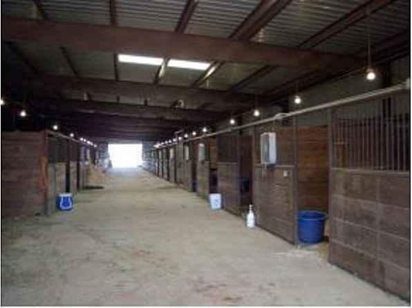 Stall #7 Rental